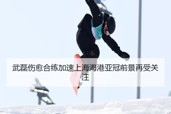 武磊伤愈合练加速上海海港亚冠前景再受关注 | BAJIESPORTS